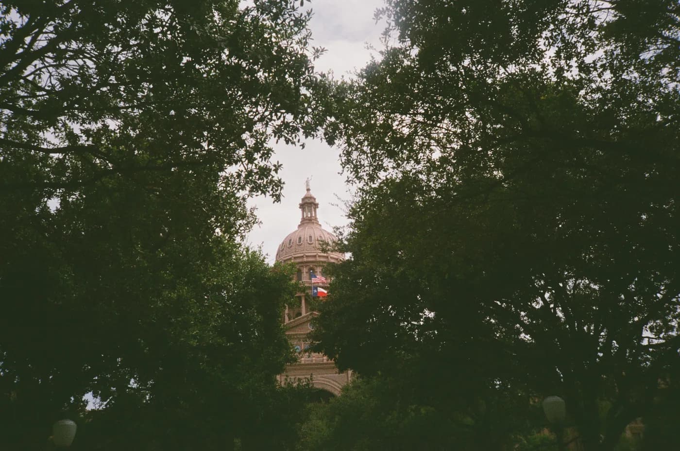 The Texas Capitol dome framed by trees on Congress